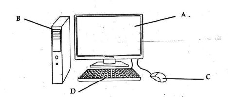 Computer Monitor Diagram Labeled